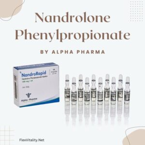 Nandrolone Phenylpropionate 100mg